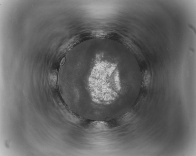 X0000103290427200808291337