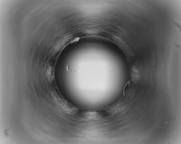 X0000103290428200808291337