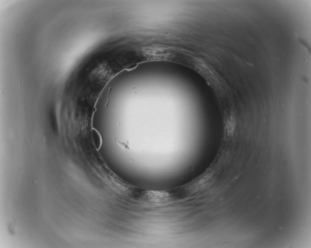 X0000103290429200808291337