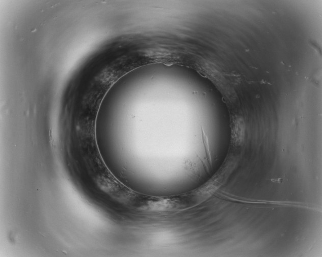 X0000103290430200808291337