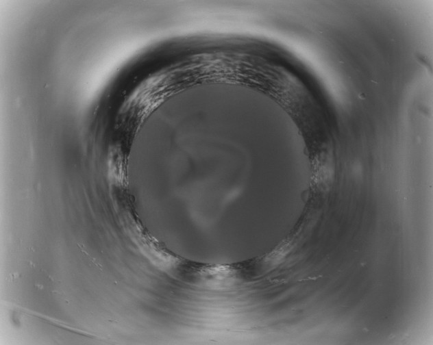 X0000103290431200808291337