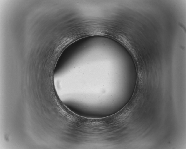 X0000103290433200808291336