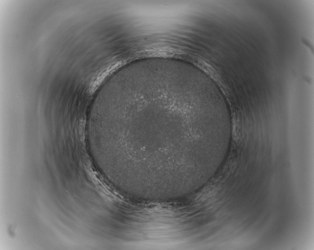 X0000103290434200808291336