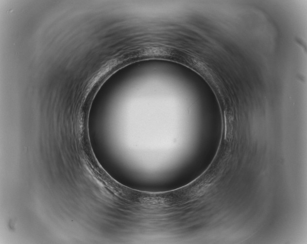 X0000103290435200808291336