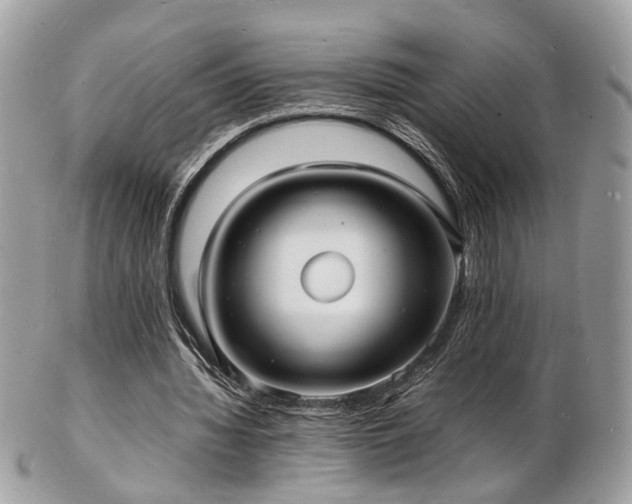 X0000103290436200808291336