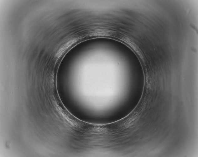 X0000103290437200808291336