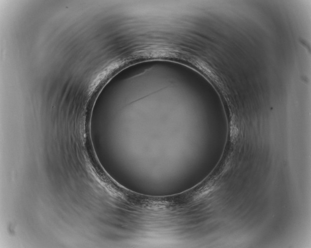 X0000103290438200808291336