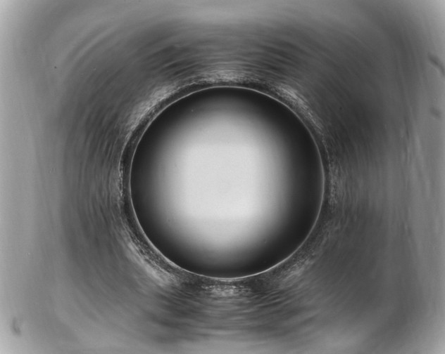 X0000103290439200808291336