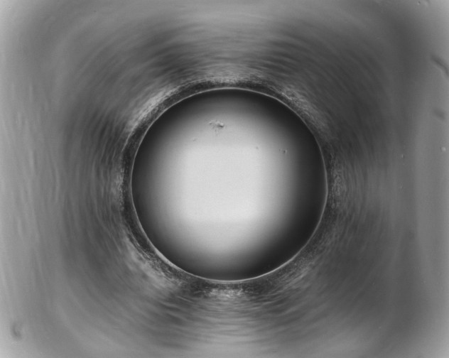 X0000103290440200808291336