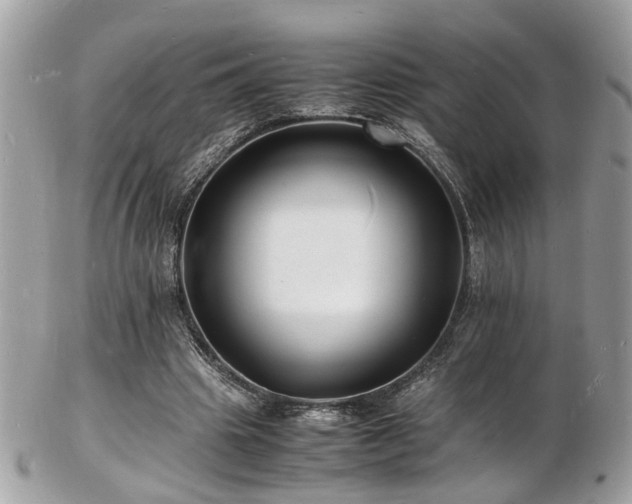 X0000103290441200808291336