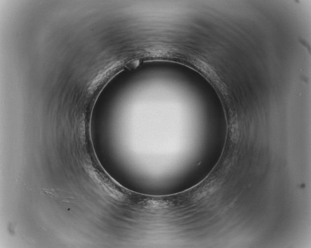 X0000103290442200808291337