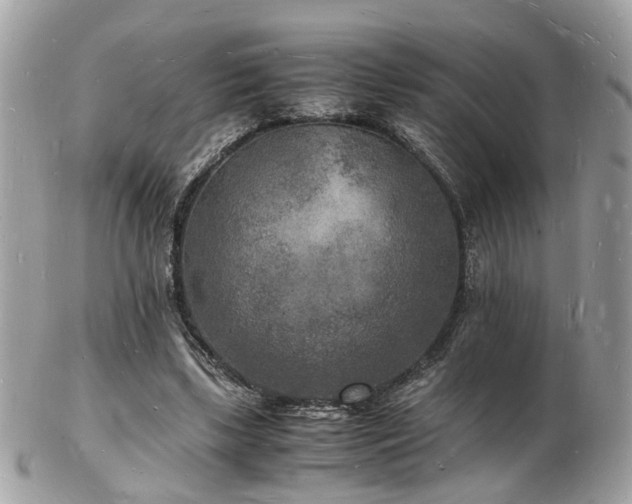 X0000103290443200808291337