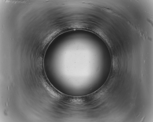 X0000103290445200808291337