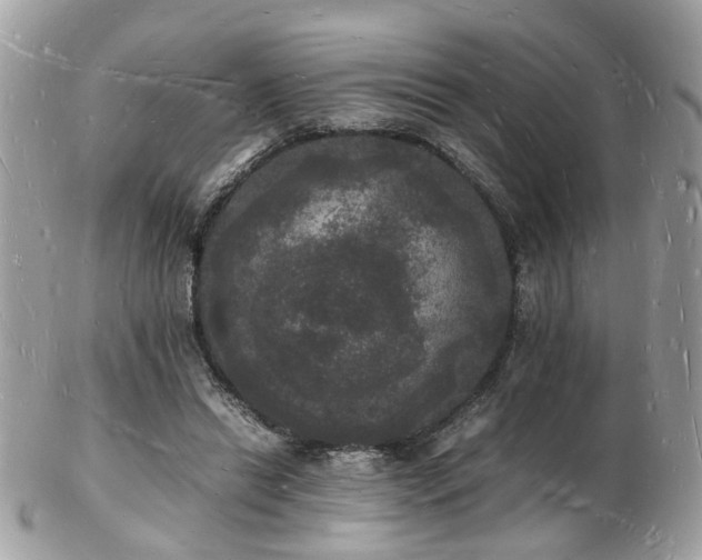 X0000103290446200808291337