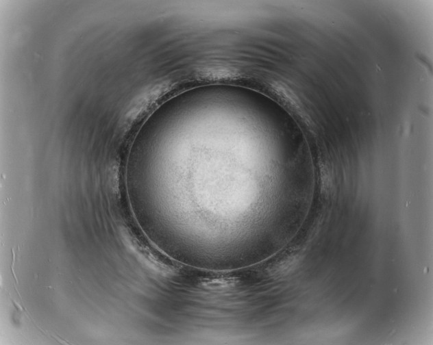 X0000103290447200808291337