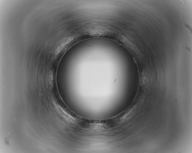 X0000103290448200808291337