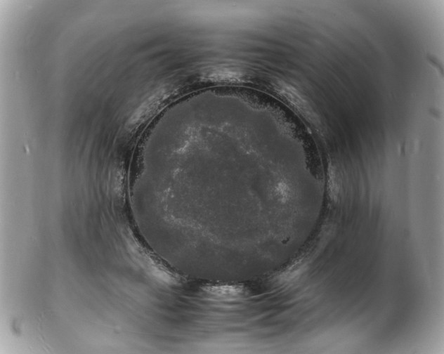 X0000103290449200808291337