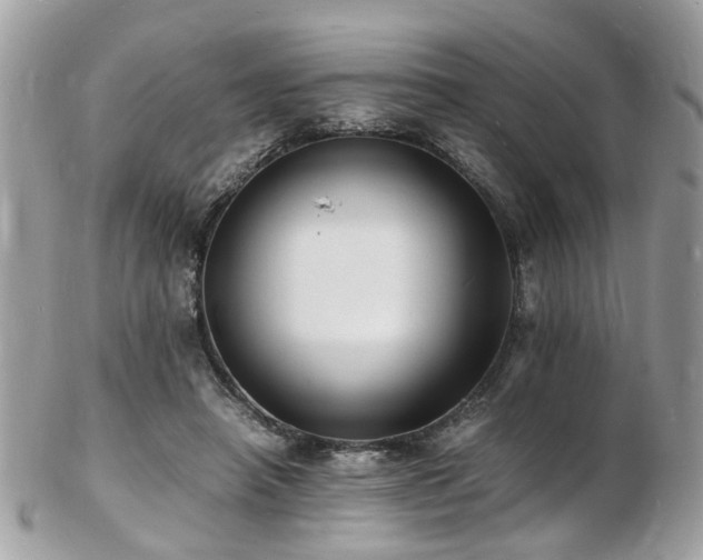 X0000103290450200808291337