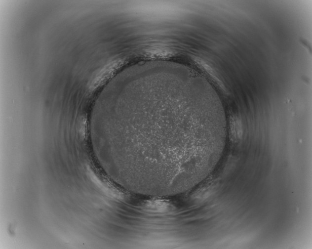 X0000103290451200808291337