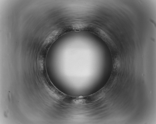 X0000103290452200808291337