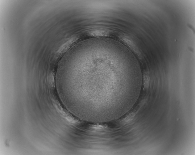 X0000103290453200808291337