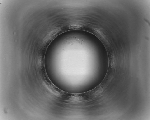 X0000103290455200808291337