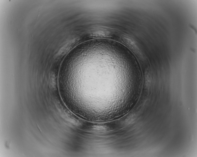 X0000103290457200808291337