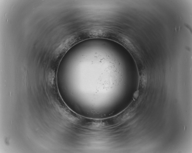 X0000103290458200808291337