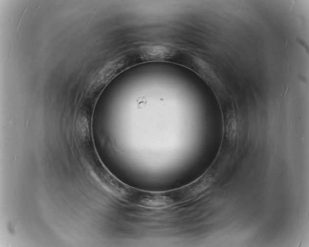 X0000103290459200808291337