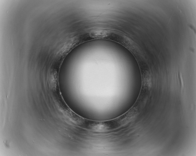 X0000103290460200808291337