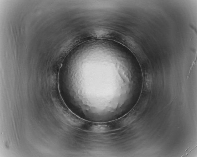 X0000103290461200808291337