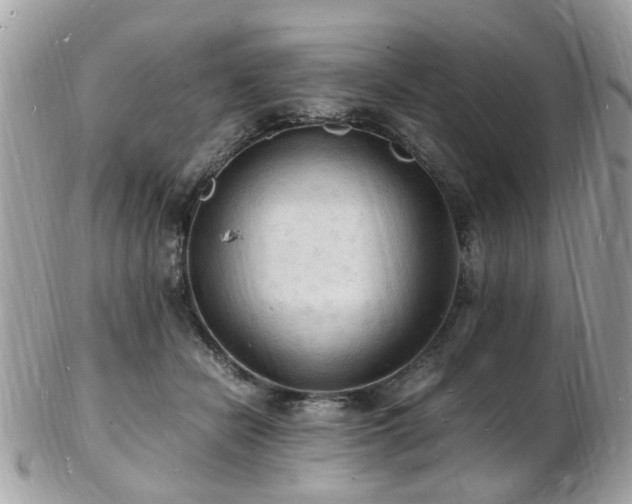 X0000103290462200808291337