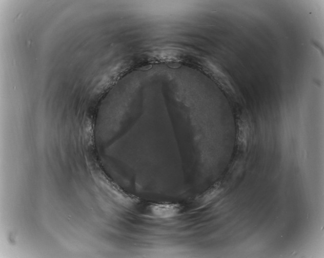 X0000103290465200808291337