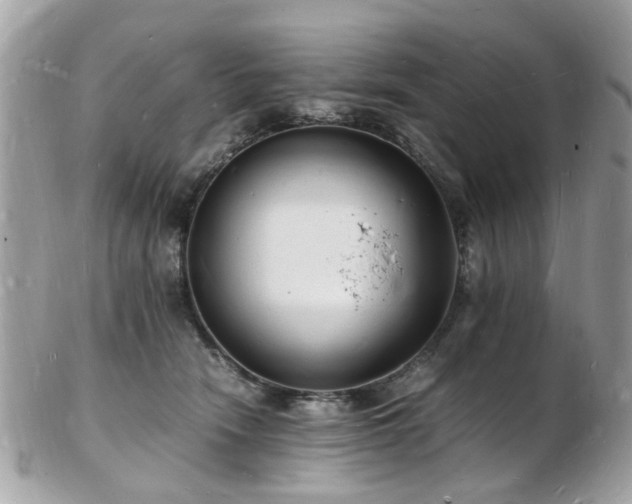 X0000103290466200808291337