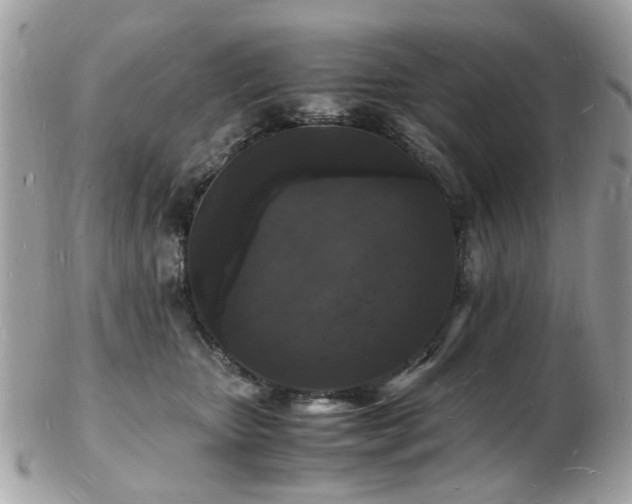 X0000103290467200808291337