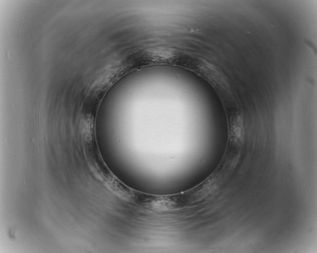 X0000103290468200808291337