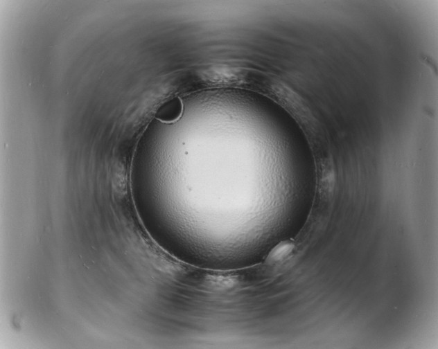 X0000103290469200808291337