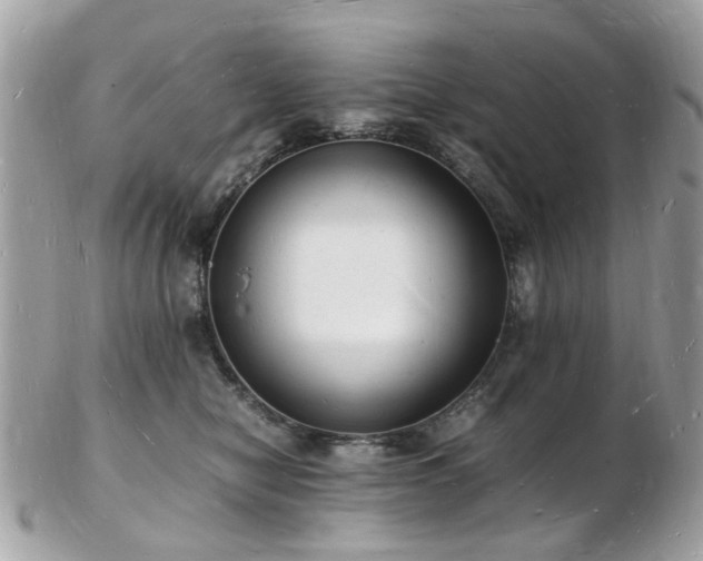 X0000103290470200808291337