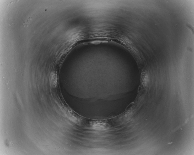 X0000103290471200808291337