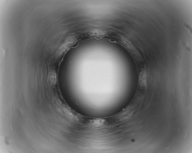 X0000103290474200808291337