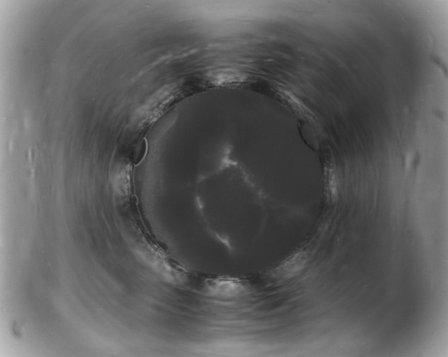 X0000103290475200808291337