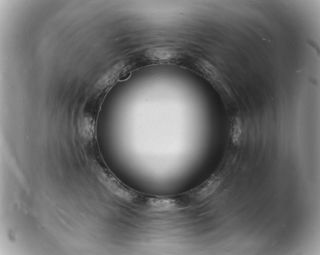 X0000103290476200808291337