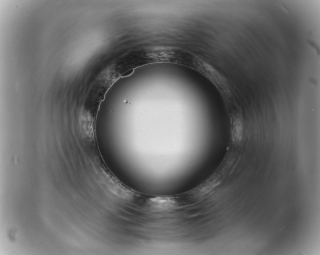 X0000103290477200808291337