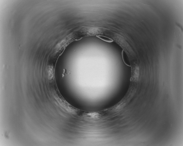 X0000103290478200808291337