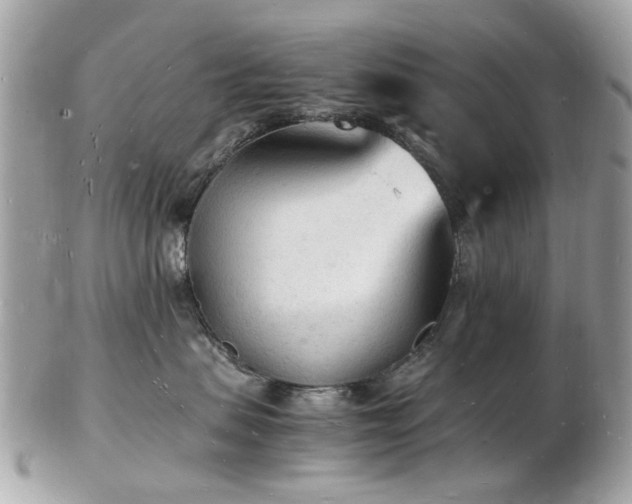 X0000103290479200808291337