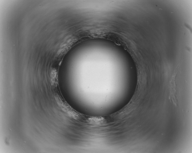 X0000103290480200808291337