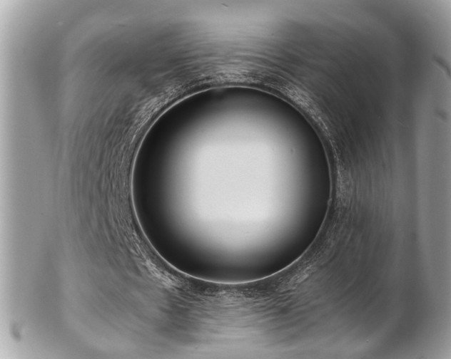 X0000103290481200808291336