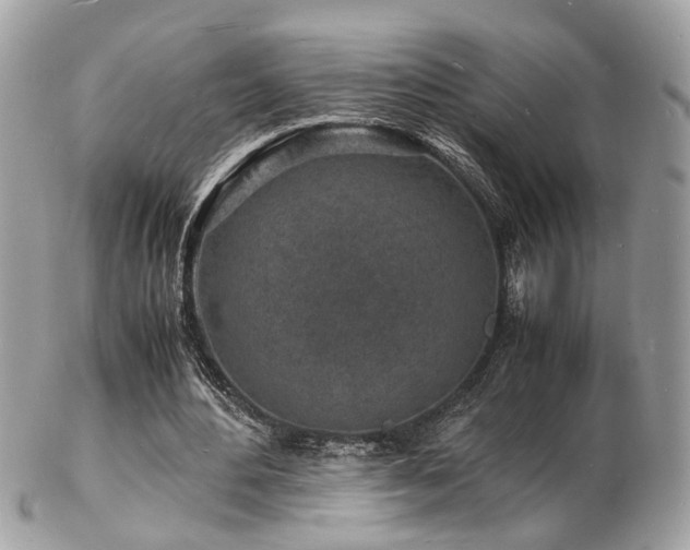 X0000103290484200808291336