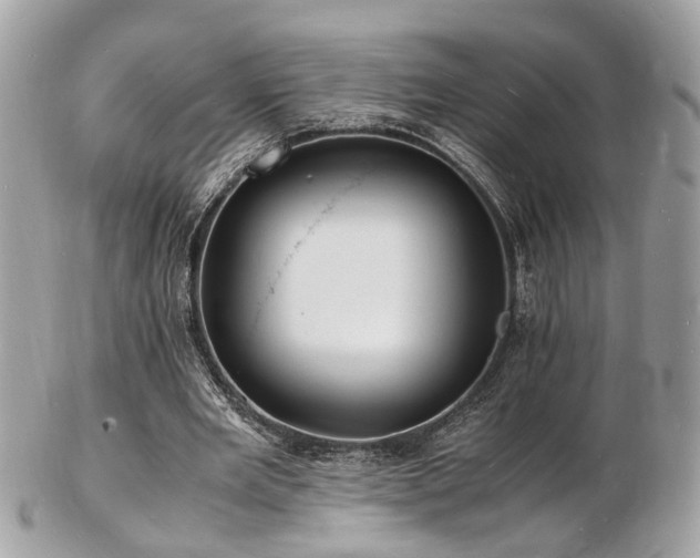 X0000103290485200808291336