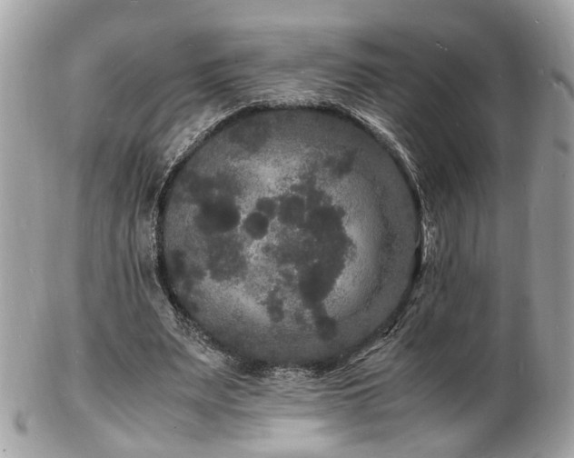 X0000103290487200808291336